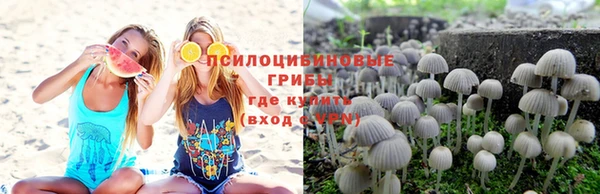 тгк Алексеевка