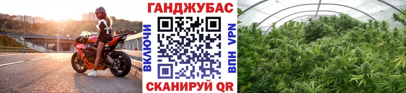 закладка  Чехов  Бошки Шишки конопля 